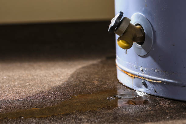 Best 24/7 water damage repair  in Shady Side, MD