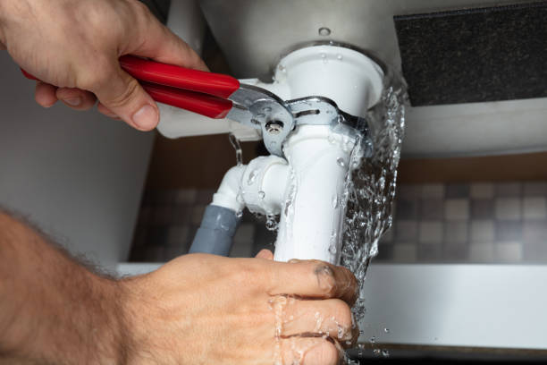 Best Flood damage cleanup  in Shady Side, MD