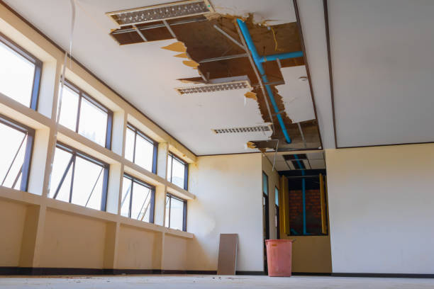 Best Professional water damage repair  in Shady Side, MD
