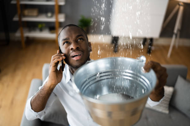 Best 24/7 water damage repair  in Shady Side, MD
