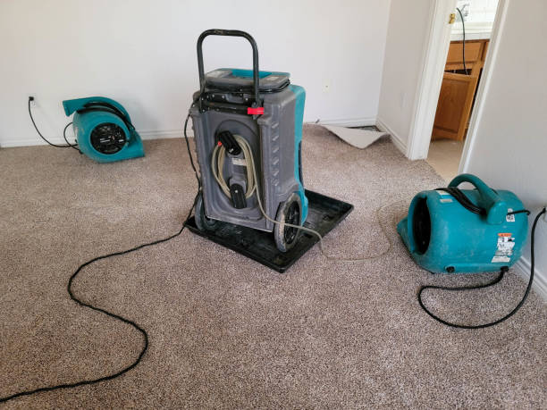  Shady Side, MD Water damage restoration Pros