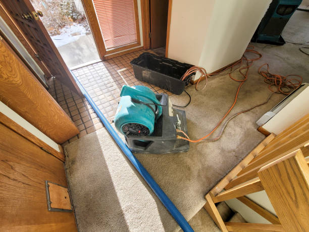 Best Flooded house restoration  in Shady Side, MD