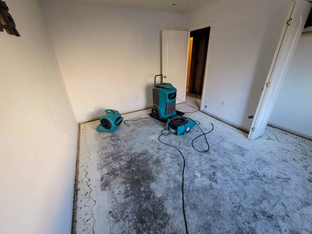 Best 24-hour water damage restoration  in Shady Side, MD