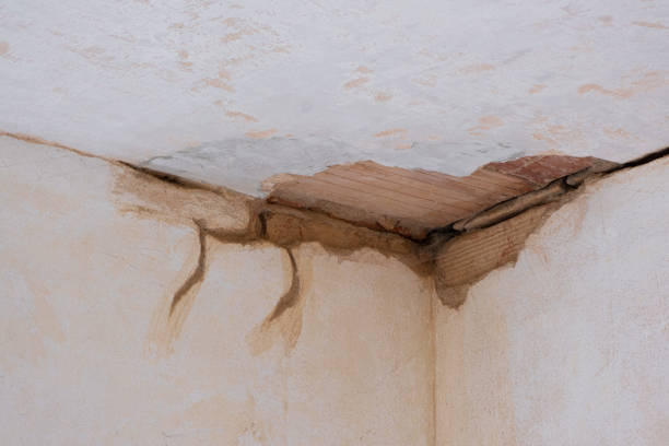 Best Water damage restoration near me  in Shady Side, MD