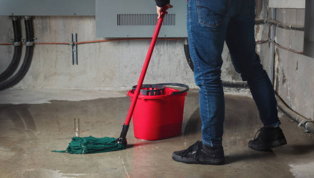 Best Water damage cleanup near me  in Shady Side, MD