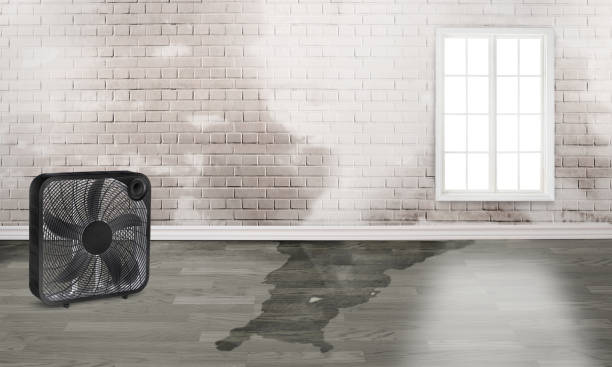 Shady Side, MD Water damage restoration Company
