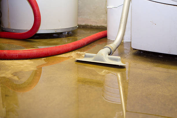 Best Emergency water extraction  in Shady Side, MD