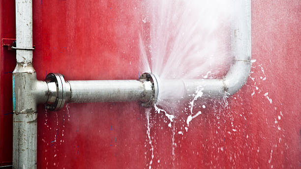 Best Water damage cleanup near me  in Shady Side, MD